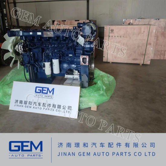 Motore diesel Wp13 per pezzi di ricambio del motore Lgmg Weichai del camion minerario Sany